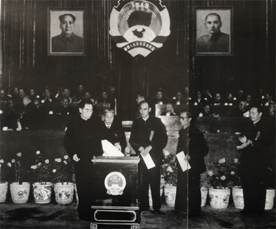 һ����������£��ܶ���������쵼������ƽ�����������ȫ����Э����һ�λ�����ͶƱ��